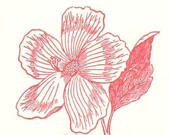 6 Hibiscus Flower Letterpress Cards