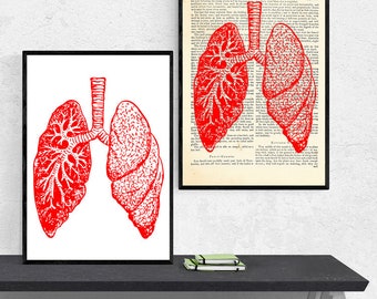 Lungs Anatomy Art, Anatomy A3 Print, Anatomy Gift, Anatomy Print, Anatomy Poster, Anatomy Wall Art, Medical Student Gift, Anatomical Art