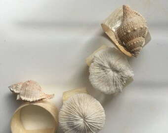 seashell napkin holders