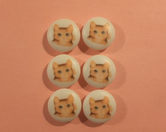 Six Beatrix Potter buttons (Miss Moppet.)