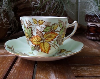 Vintage Rosina Bone China Tea Cup & Saucer