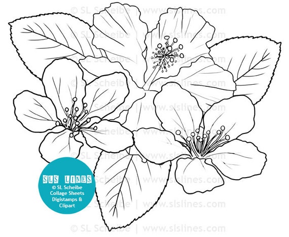 Download Digistamp flowers hibiscus coloring page digital stamp flower