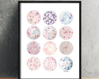 Microbe Collection, Bacteria, Bacteria Art, Science, Science art, microbiology, biology art, watercolor print, science decor, science gift,