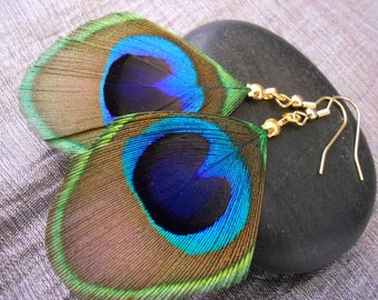 Earrings Peacock feather and gold plated.