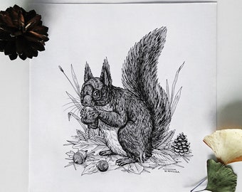 Squirrel - original artwork