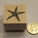 small starfish rubber stamp, 22 mm (BB4/1)
