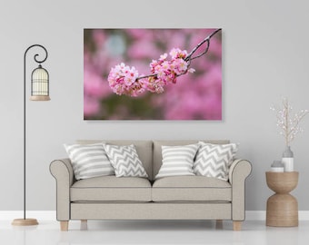 Spring Sakura Pink Cherry Blossoms Hanging Branch, Flower Nature Photography, Wallart Photo Printable, Home Office Decoration, Gift