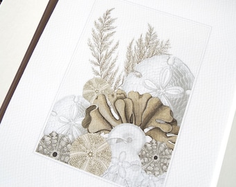 White and Tan Sea Shell Collection with Coral, Sand Dollars & Sea Urchins Fine Art Archival Print