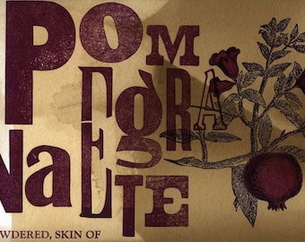 Pomegranate Skin Postcard