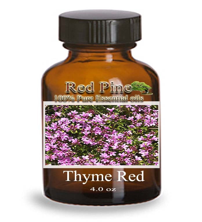 Thyme Red Essential Oil Thymus vulgaris 100 Pure