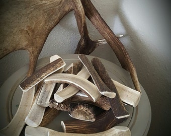 ELK* ANTLER DOG Chew Split (exposed marrow) 26.99 per pound
