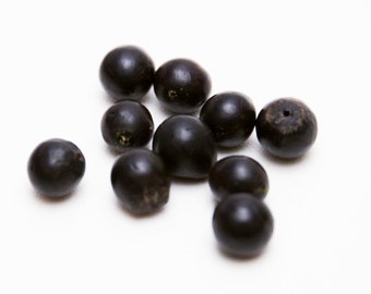 10 count 12mm dark brown black seed nut beads destash bead lot vintage