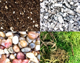 Terrarium Kit / DIY / Craft Kit