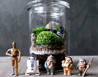 Star Wars Terrarium with R2D2 C3PO or Ewok Collectible Figurine