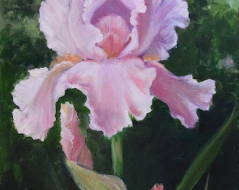 Pink Iris Portrait Still Life Painting,Original Oil on Canvas by Cheri Wollenberg