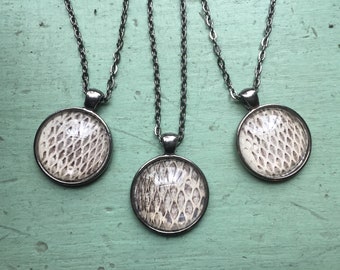 Real snake skin necklace