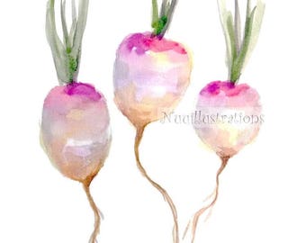 Turnip ORIGINAL Watercolor Painting Kitchen Art Vegetable Garden illustration Botanical Hand Painted A4