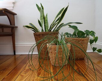A Wicker Basket Planter