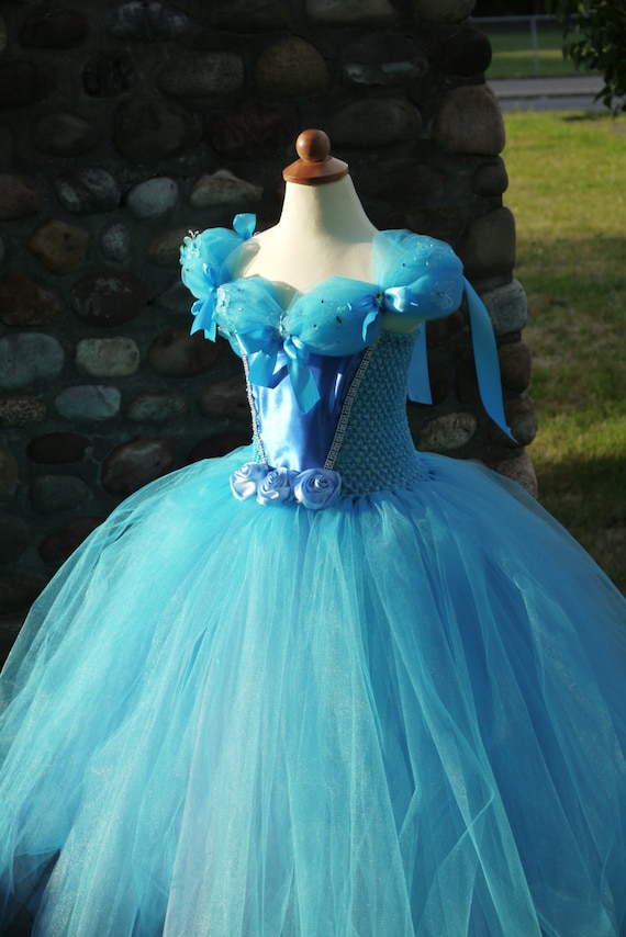 Cinderella inspired tutu dress princess ballgown