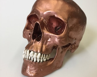 Copper Human Skull Replica with lower mandible Full Size
