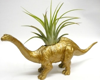 Gold Apatosaurus Dinosaur Planter with Air Plant // Coworker Gift // For Her // For Him / fathers day / house warming