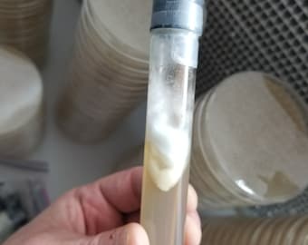 Stropharia (wine cap) Culture Test Tube Slant (MYA) With Stick