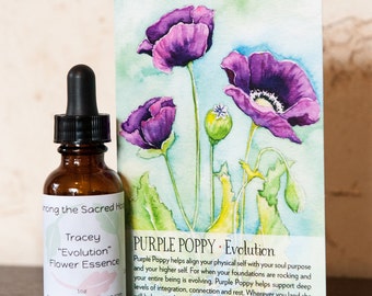 3 Month Flower Essence Subscription
