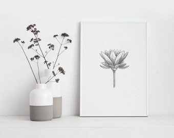 Screenprint - Waterlily - 2017