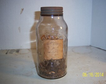 1920's Carter, Carter & Meigs Boston, Mass Fish Berries Clear Medicine 6 7/8 inches tall