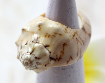 Real Conch Sea Shell Ring, shells ring, shells rings, shell ring, Conch ring, Conch rings, all size 8, 8.5, 9