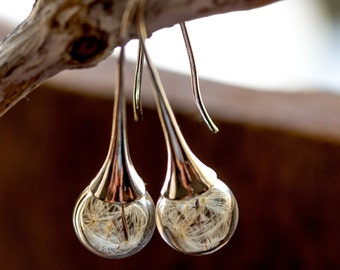 Real Dandelion earrings. terrarium earrings, trumpet, dandelion Earrings, glass ball earrings, glass globe earrings, dandelion, wedding
