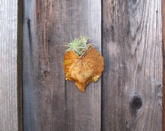 Clay Leaf Wall Planter - Tiny Herb or Succulent Holder Made with a Real Grape Leaf - Ceramic Wall Vase - Pottery Garden Decoration - Nature