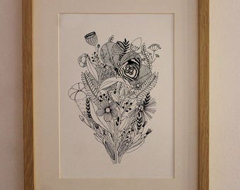 Butterfly Diaethria clymena (Ink on paper)