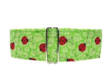Ladybug Martingale Collar, 2 Inch Martingale Collar, Greyhound Martingale, Lime Green Dog Collar, Preppy, Martingale Dog Collar