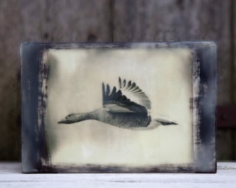 Wild goose flying. Mixed media encaustic art. Bird, gifts for bird-lovers and nature-lovers