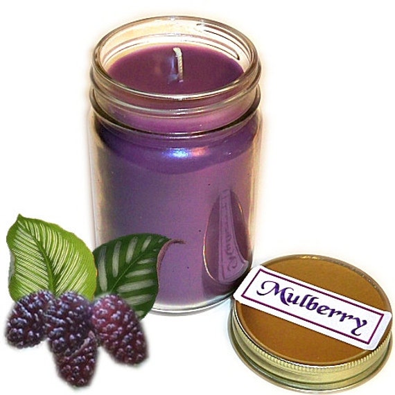 Mulberry Mason Jar Candle Fruit Scent 12 Oz Handmade