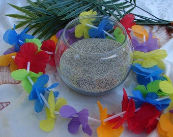 Tan Sand 1 pound from Oceanside beach California zen garden seashell display beach decor ocean decor nautical decor craft supplies