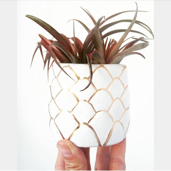 Pineapple Planter/Air Planter/Desk Planter/Pineapple decor/New Home Gift/Housewarming Gift/Pineapple Lover/Succulent Planter/Modern Planter