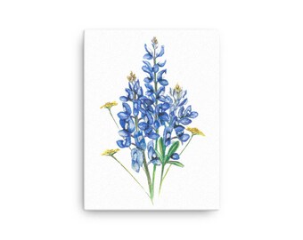 Bluebonnets and Wildflowers Canvas