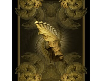 Fine Art Print - Mandala from nature -Momento Ad Vigere 2