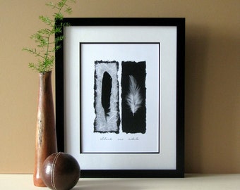 Feather print, black and white, modern feather art, 11x14 double matted, natural feathers, wall art no. 11