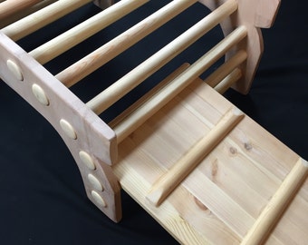 Toddler Swing and ladder