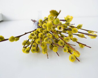Yellow bouquet. Willow branches, painted spring decor, dried flowers, natural materials, Wedding flowers
