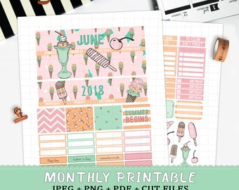 June 2018 Monthly printable planner stickers for Erin Condren LifePlannerTM june monthly ice cream stickers milkshake silhouette cut files