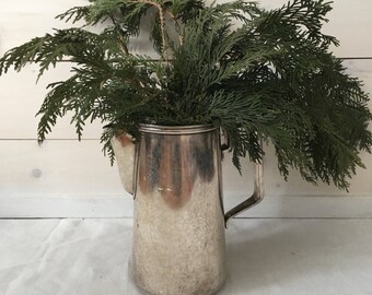 Silver Water Pitcher