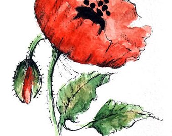 Original Watercolor Poppy Flower Art Hand Painted Red Poppy Flower Art