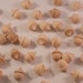 25 Mini Wood Acorns, Unfinished Wood Acorns, Wood Acorns, Acorns, Miniature Acorns, Small Acorns