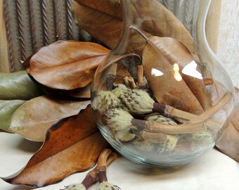 12 Southern Magnolia Immature seed pods for Dried flower arrangement, Vase filler, Wreath making, Botanical supplies, Crafting, Home Decor