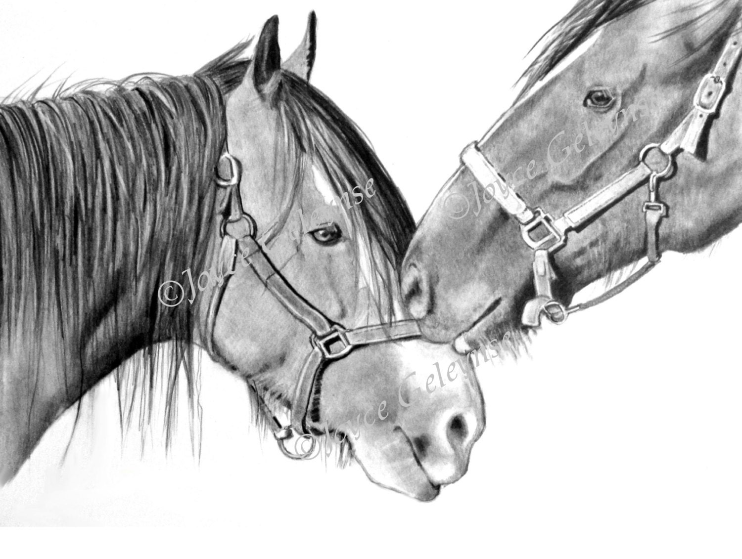 Nuzzling Draft Horses Pencil Drawing Printable Art WHOA