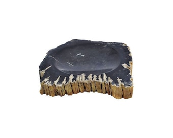 Hand made Black Fossil Wood Soap Dish